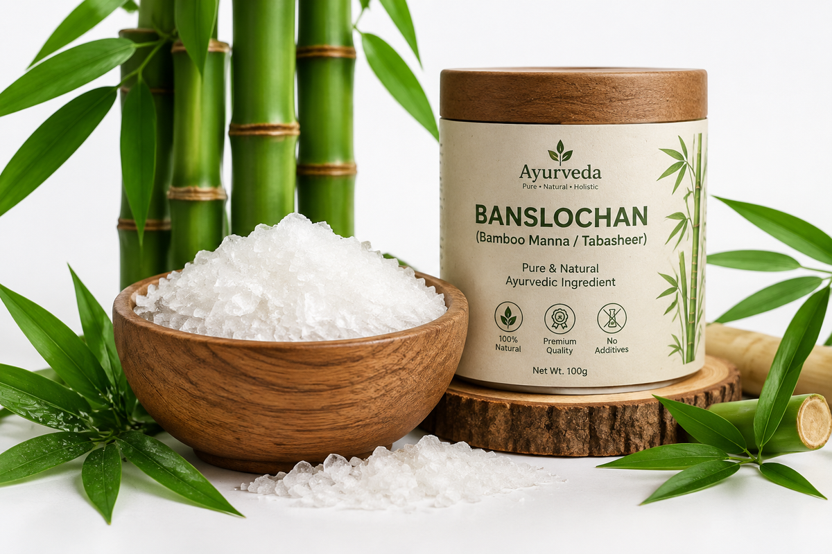 Banslochan Bamboo Manna Ayurvedic Powder